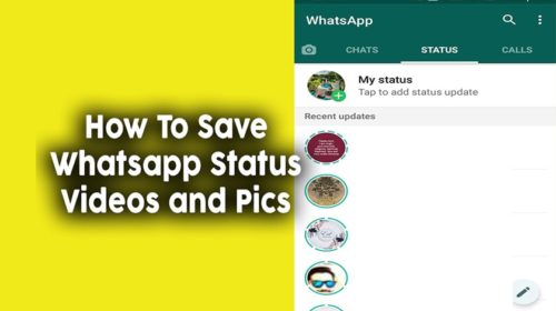 save WhatsApp status videos and pictures