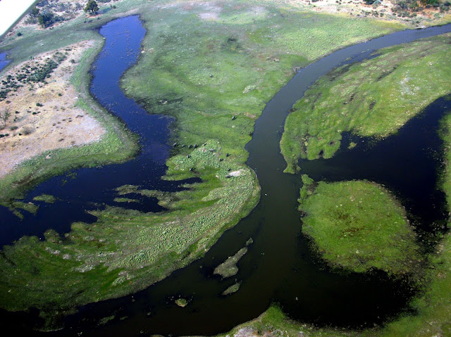 The Okavango Delta aerial view