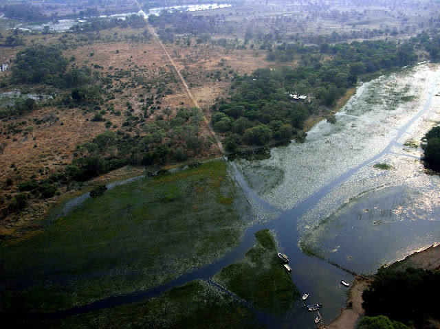 botswana delta aerial view
